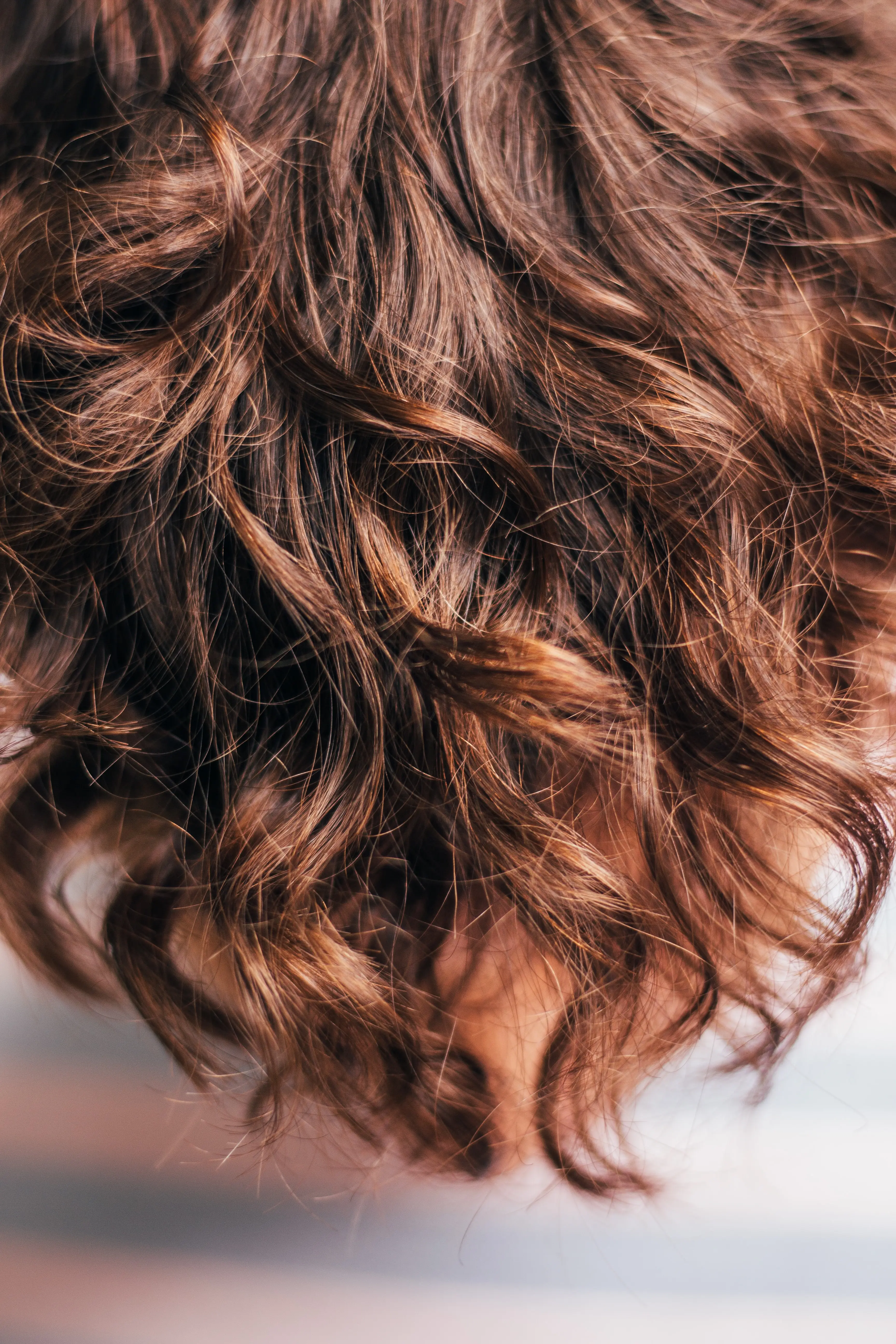 image of womans hair looking healthy and pretty